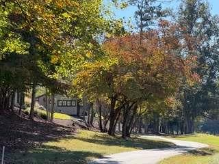 single family residence for sale at Lt 144 Hickory Way, Mineral Bluff, GA 30559 — photo 10