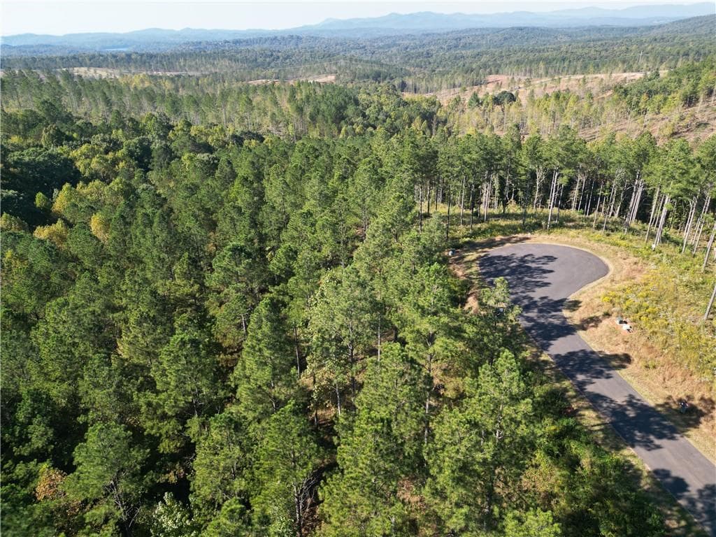 single family residence for sale at 0 Lacey Springs Ln, Ellijay, GA 30540 — photo 2