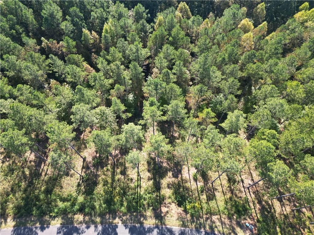 single family residence for sale at 0 Lacey Springs Ln, Ellijay, GA 30540 — photo 4