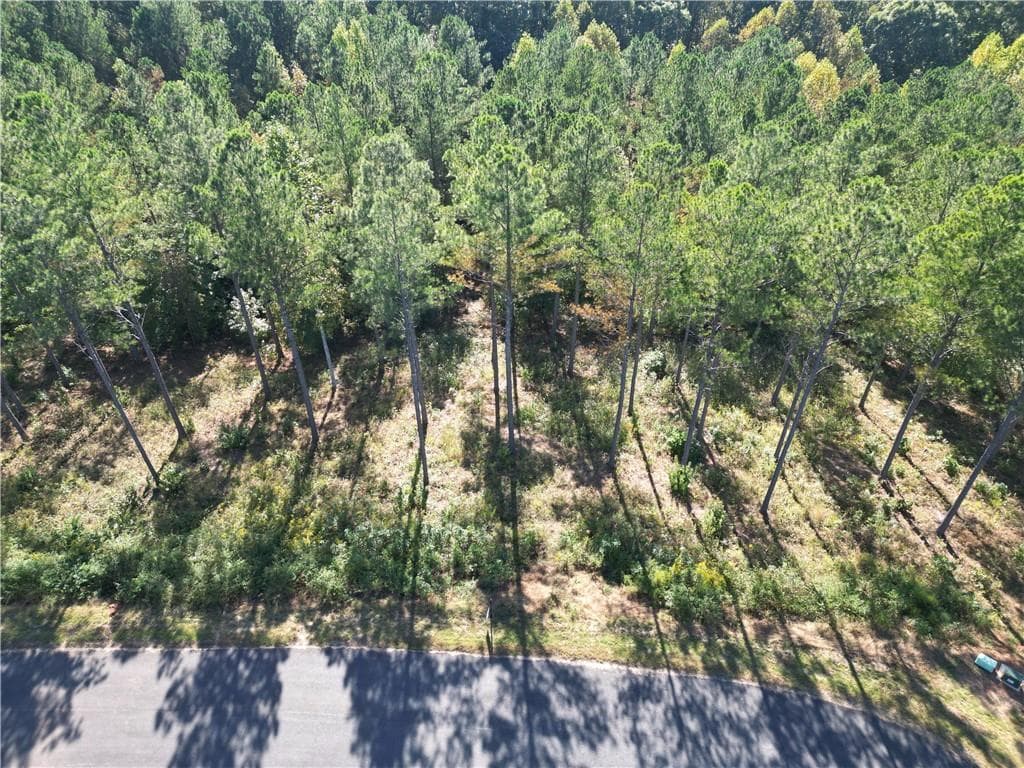 single family residence for sale at 0 Lacey Springs Ln, Ellijay, GA 30540 — photo 5