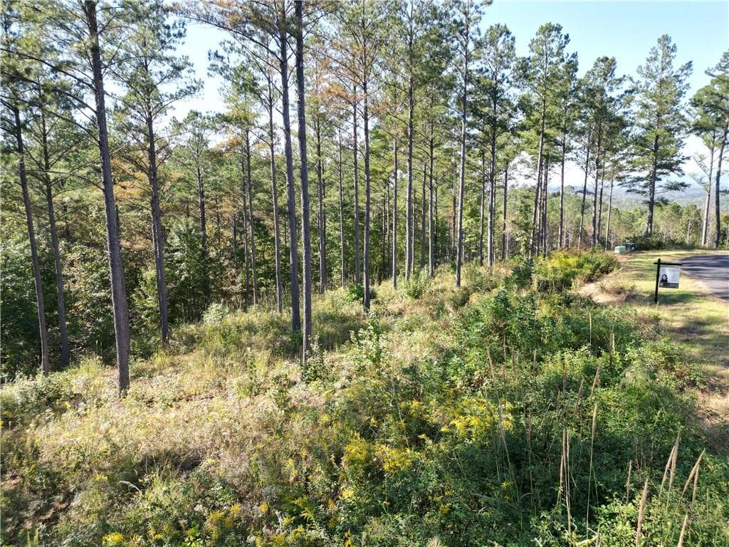single family residence for sale at 0 Lacey Springs Ln, Ellijay, GA 30540 — photo 8