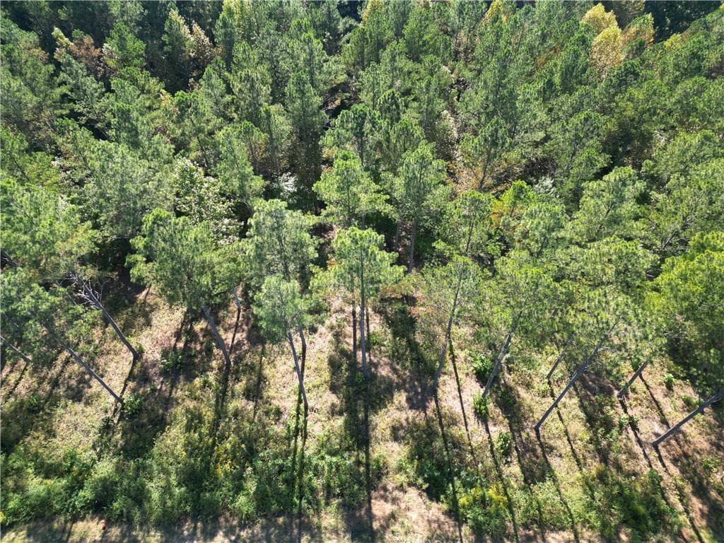 single family residence for sale at 0 Lacey Springs Ln, Ellijay, GA 30540 — photo 9