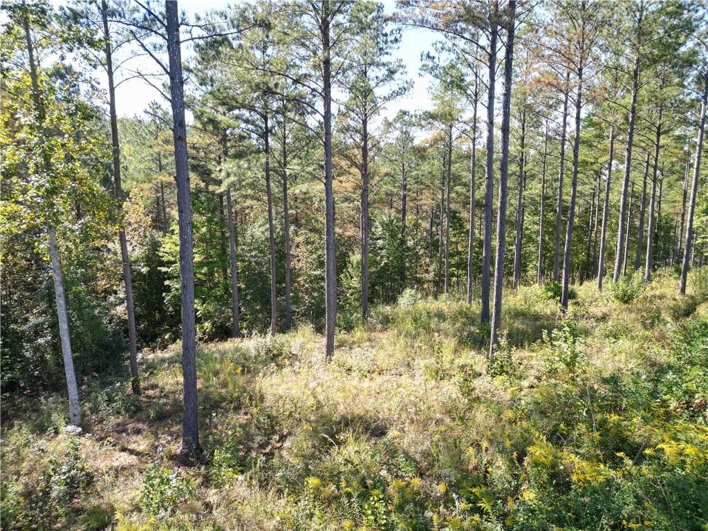 single family residence for sale at 0 Lacey Springs Ln, Ellijay, GA 30540 — photo 10