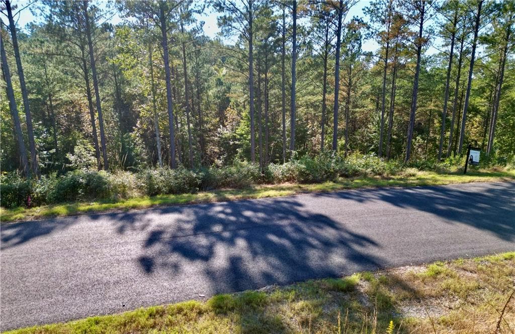 single family residence for sale at 0 Lacey Springs Ln, Ellijay, GA 30540 — photo 6
