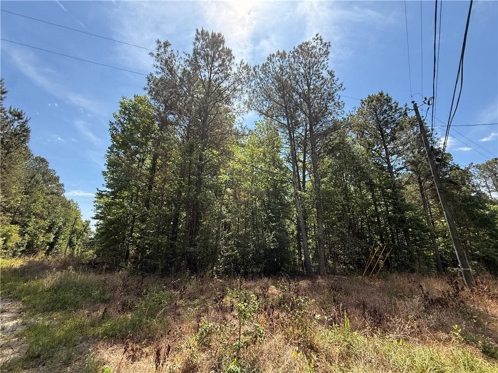 unimproved land for sale at 467 N Raburn Road, Bremen, GA 30110 — photo 1 of 10