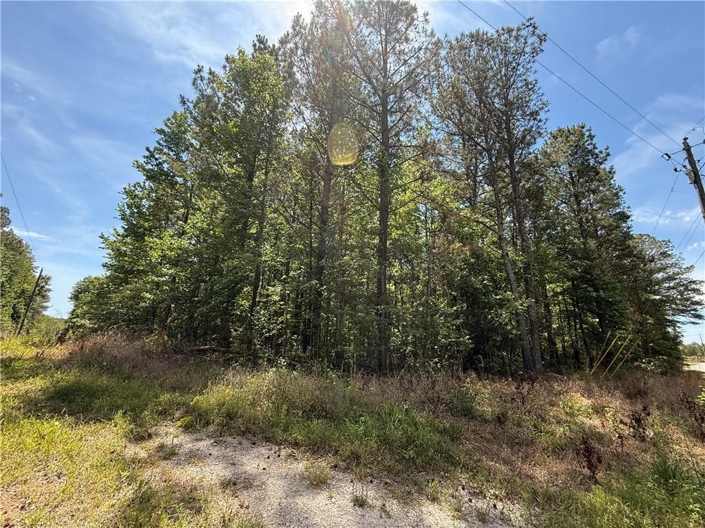 unimproved land for sale at 467 N Raburn Road, Bremen, GA 30110 — photo 2