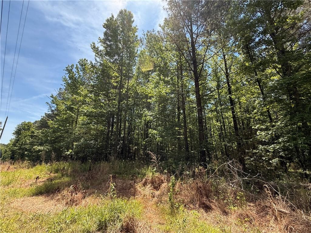 unimproved land for sale at 467 N Raburn Road, Bremen, GA 30110 — photo 3