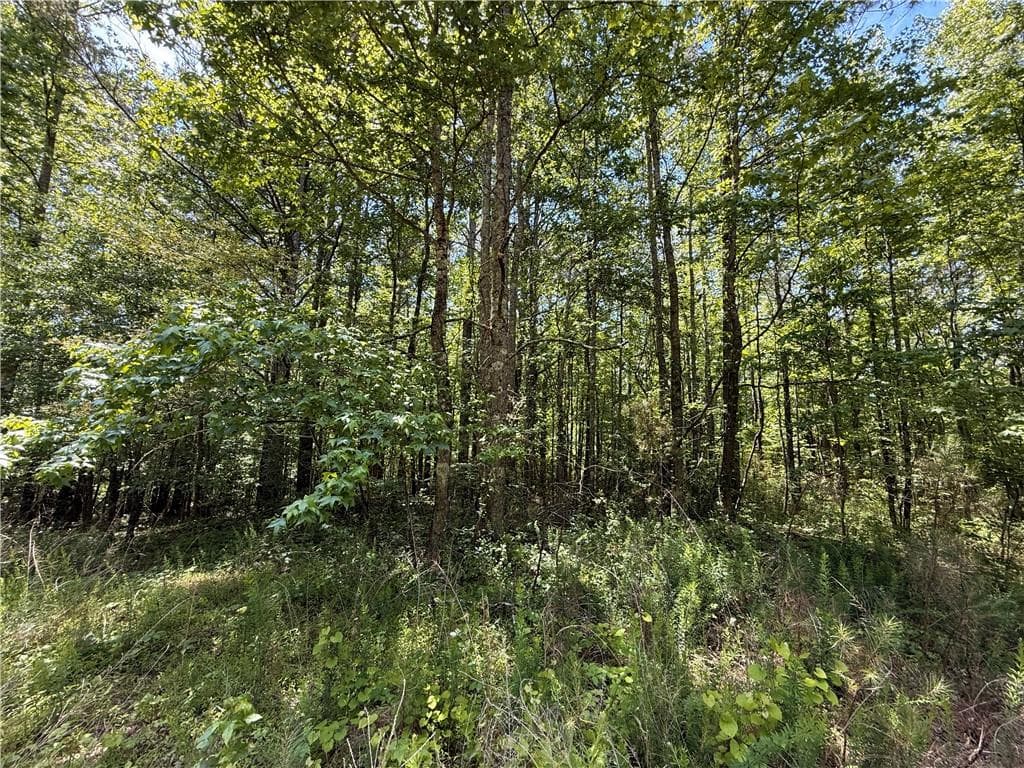 unimproved land for sale at 467 N Raburn Road, Bremen, GA 30110 — photo 4