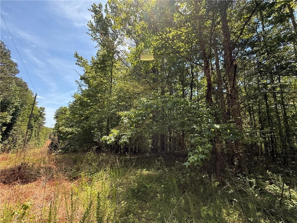 unimproved land for sale at 467 N Raburn Road, Bremen, GA 30110 — photo 5