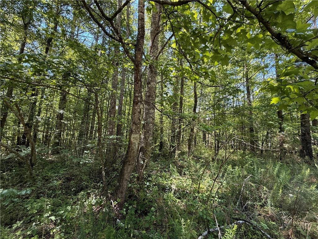 unimproved land for sale at 467 N Raburn Road, Bremen, GA 30110 — photo 6
