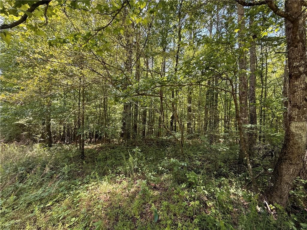 unimproved land for sale at 467 N Raburn Road, Bremen, GA 30110 — photo 7
