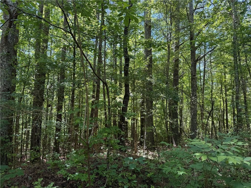 unimproved land for sale at 467 N Raburn Road, Bremen, GA 30110 — photo 8
