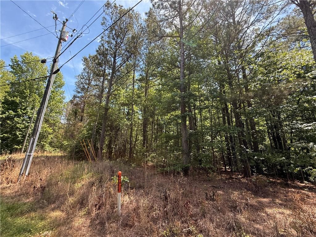 unimproved land for sale at 467 N Raburn Road, Bremen, GA 30110 — photo 9