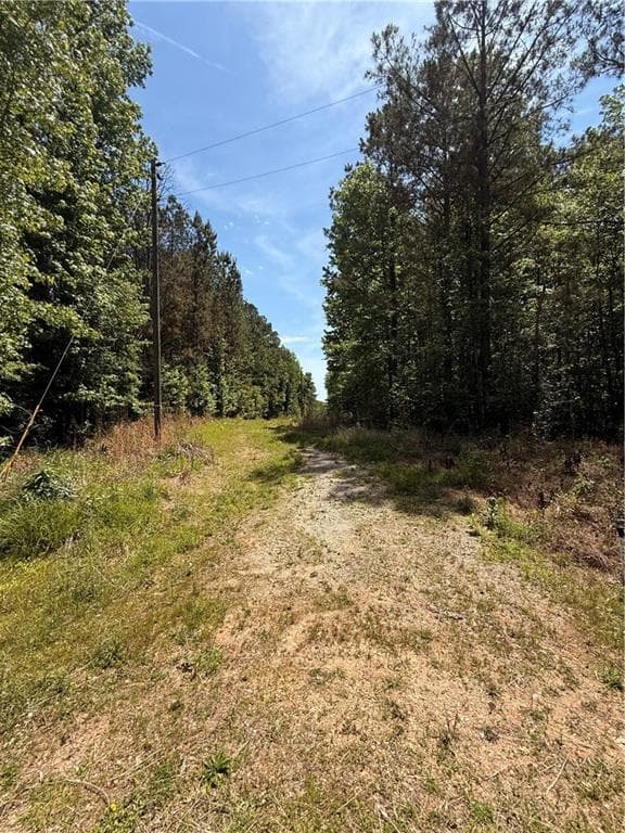 unimproved land for sale at 467 N Raburn Road, Bremen, GA 30110 — photo 10