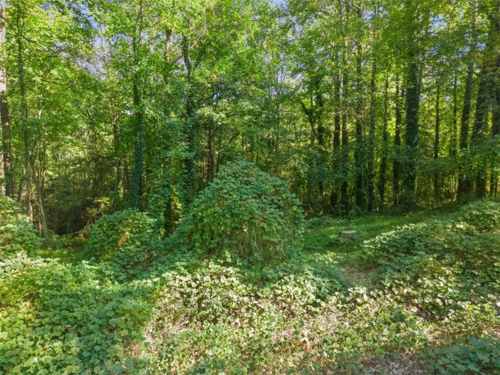 single family residence for sale at 4011 W Hilda Circle, Decatur, GA 30035 — photo 6
