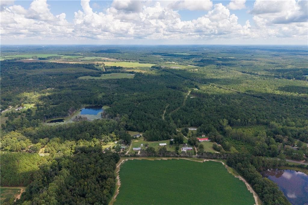 other for sale at AC Warren Burns Drive, Sylvania, GA 30467 — photo 3