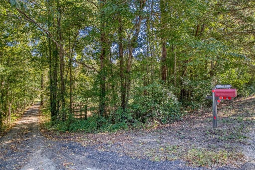 2 bedroom, 3 bathroom, 2,583 sq ft single family residence for sale at 1735 Highway 85, Senoia, GA 30276 — photo 5