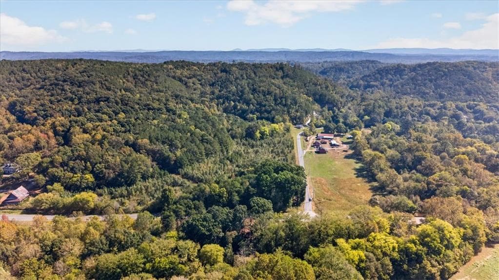 unimproved land for sale at 0 Hwy 411, Fairmount, GA 30139 — photo 4