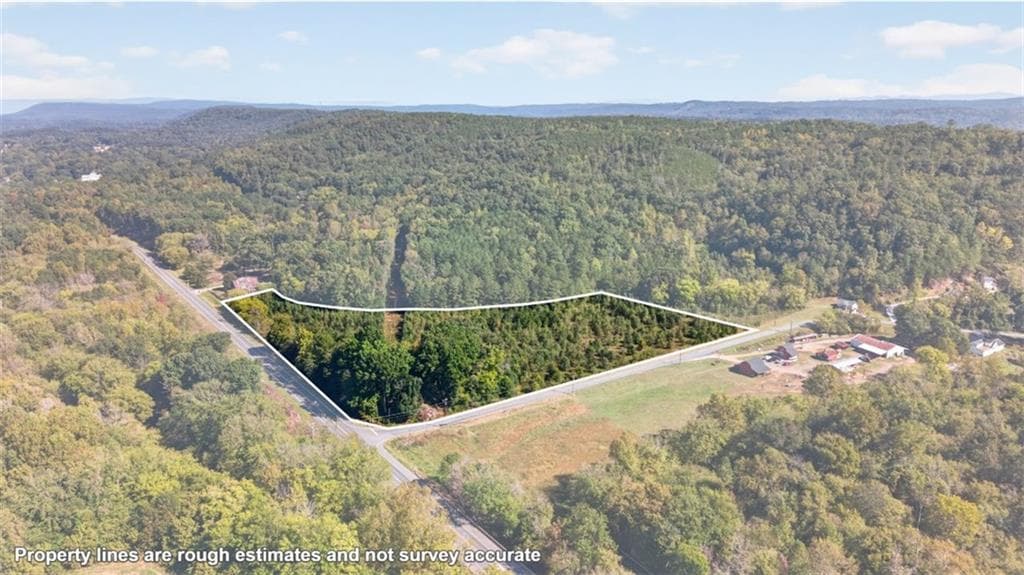 unimproved land for sale at 0 Hwy 411, Fairmount, GA 30139 — photo 6