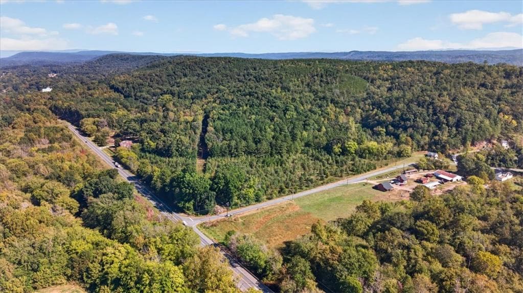 unimproved land for sale at 0 Hwy 411, Fairmount, GA 30139 — photo 7