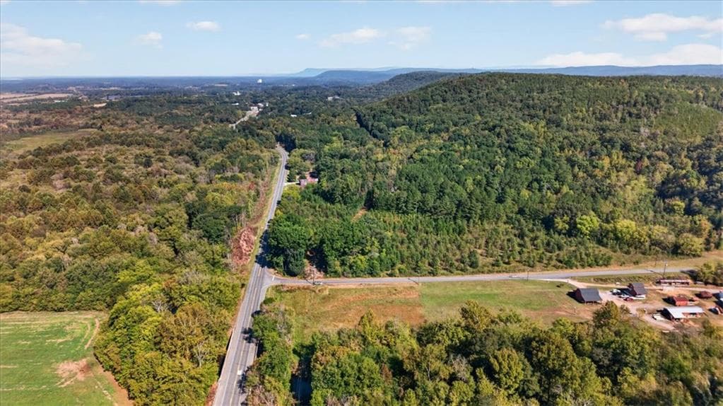 unimproved land for sale at 0 Hwy 411, Fairmount, GA 30139 — photo 9