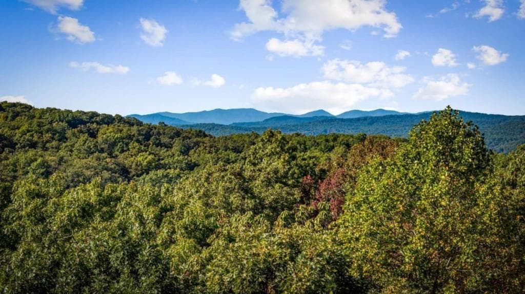4 bedroom, 5 bathroom, 4,300 sq ft single family residence for sale at 509 Wisteria Lane, Morganton, GA 30560 — photo 4