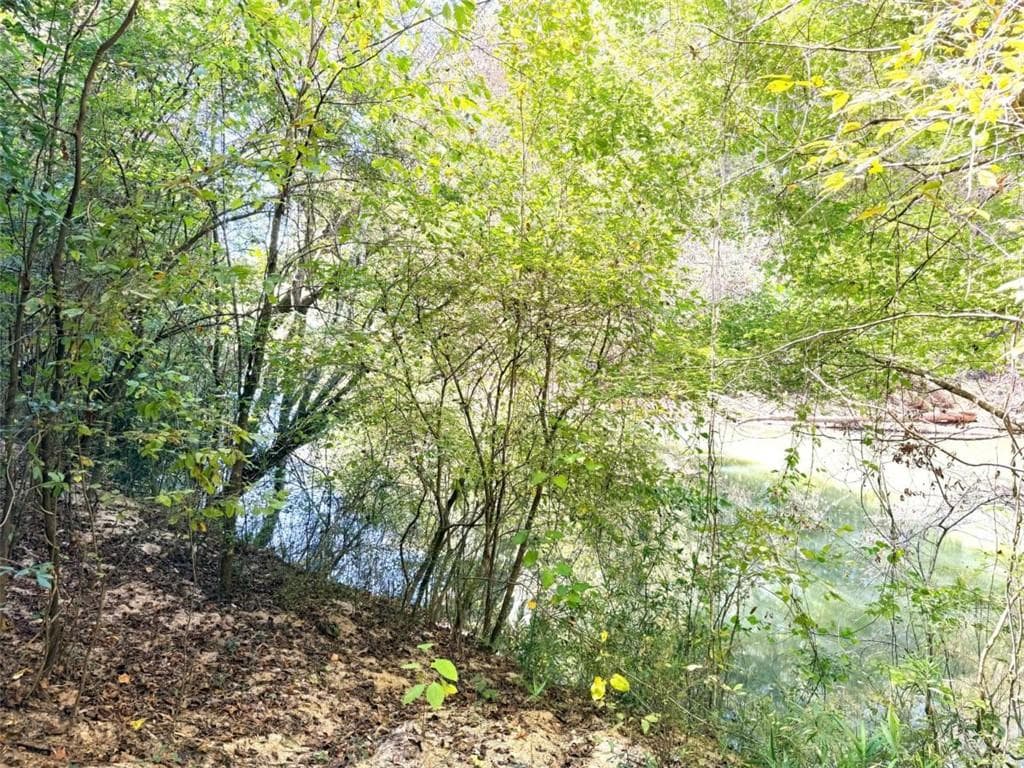 3 bedroom, 1 bathroom, 1,624 sq ft single family residence for sale at 0 Towaliga South Road, Jackson, GA 30233 — photo 3