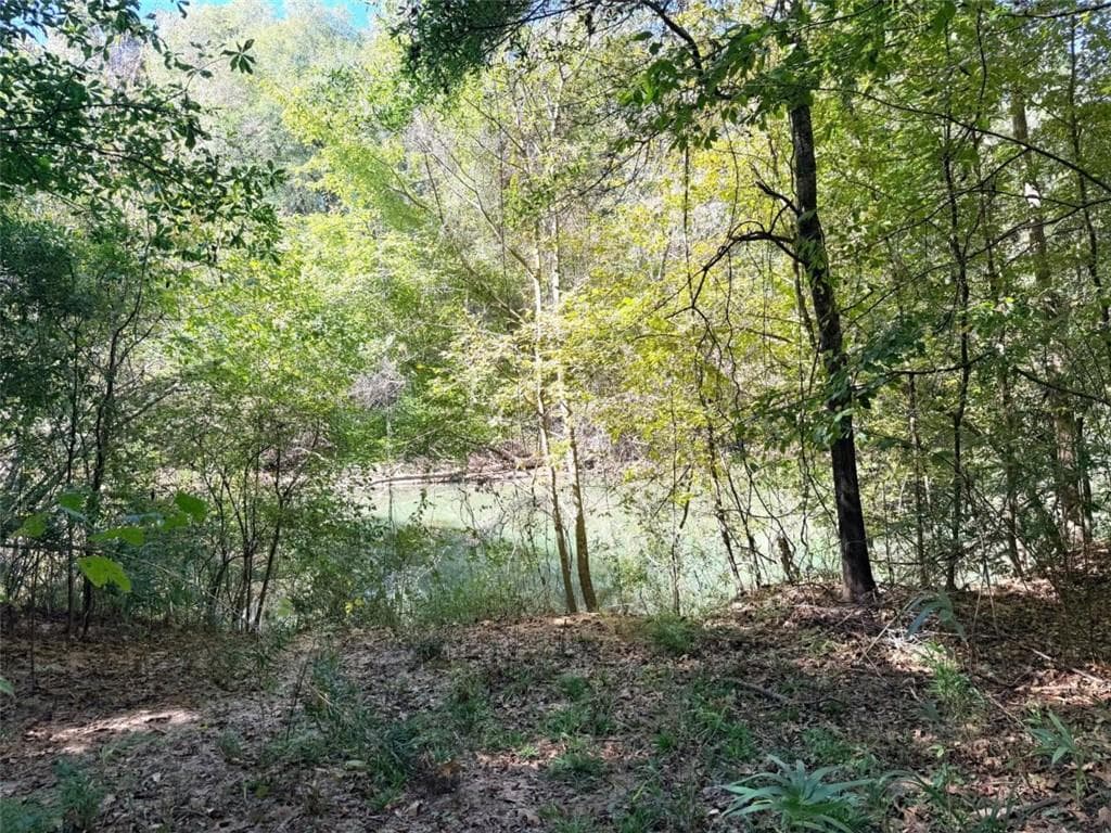 3 bedroom, 1 bathroom, 1,624 sq ft single family residence for sale at 0 Towaliga South Road, Jackson, GA 30233 — photo 4