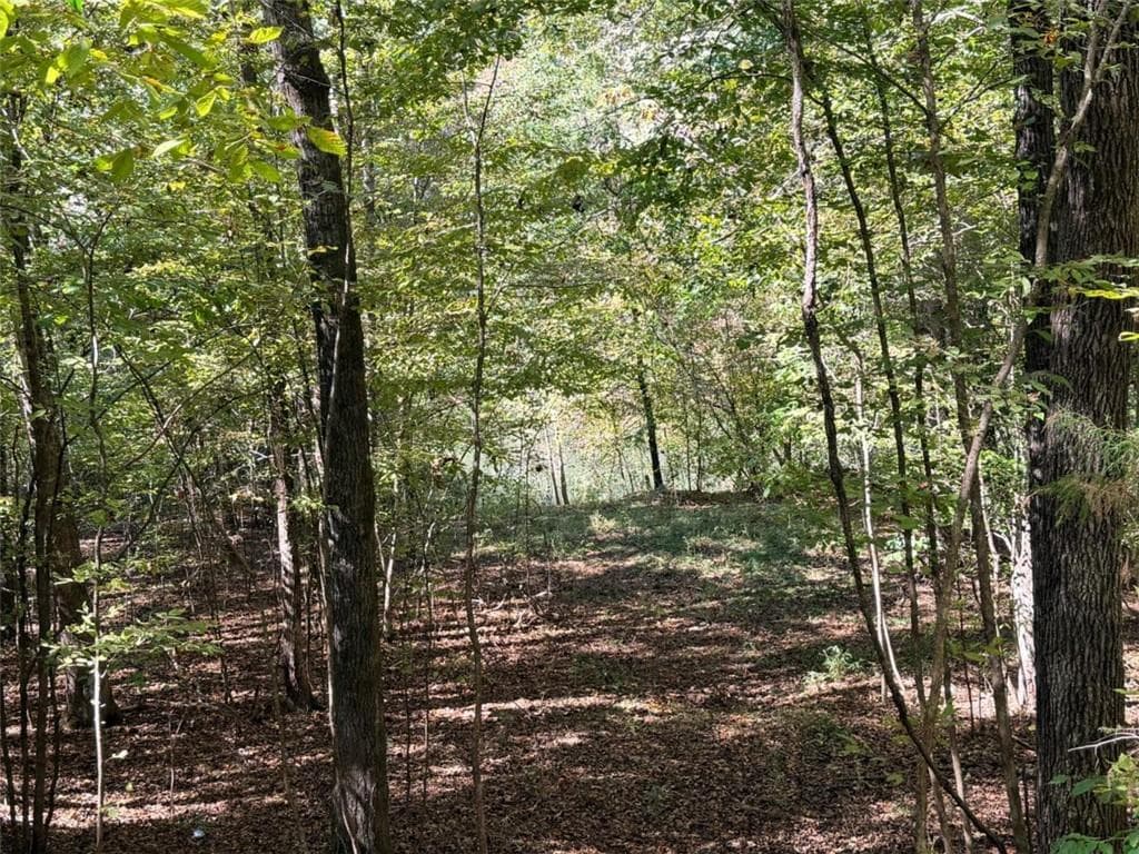 3 bedroom, 1 bathroom, 1,624 sq ft single family residence for sale at 0 Towaliga South Road, Jackson, GA 30233 — photo 5