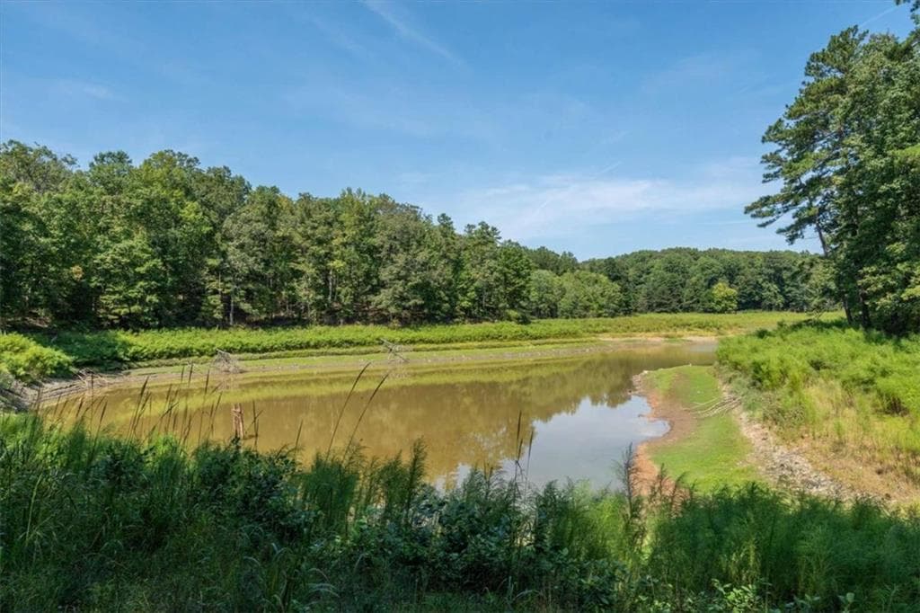 unimproved land for sale at 4583 Coursey Lake Road, Douglasville, GA 30135 — photo 6