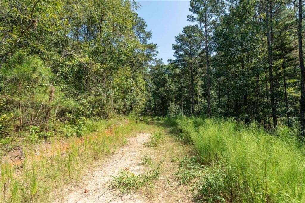 unimproved land for sale at 4583 Coursey Lake Road, Douglasville, GA 30135 — photo 7
