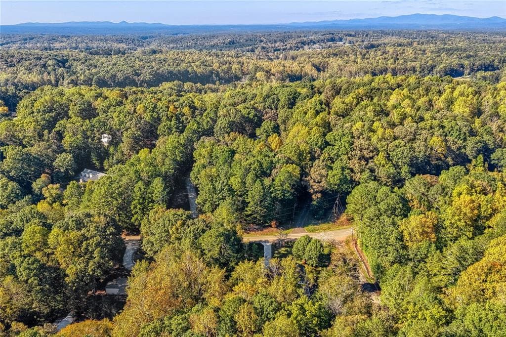 4 bedroom, 4 bathroom, 4,326 sq ft single family residence for sale at 1436 Old Mill Road, Ball Ground, GA 30107 — photo 6