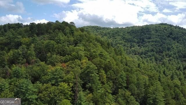 single family residence for sale at 5 Sequoia Hills Lane, Clayton, GA 30525 — photo 10