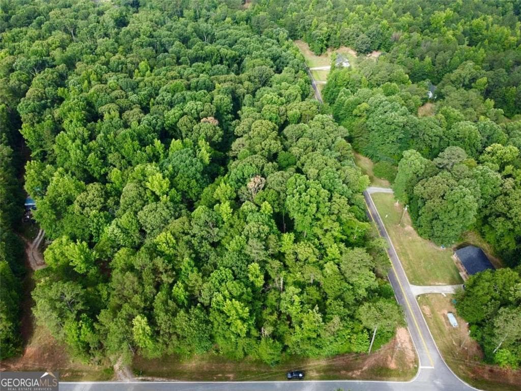 unimproved land for sale at 0 Parker Road, Covington, GA 30014 — photo 6