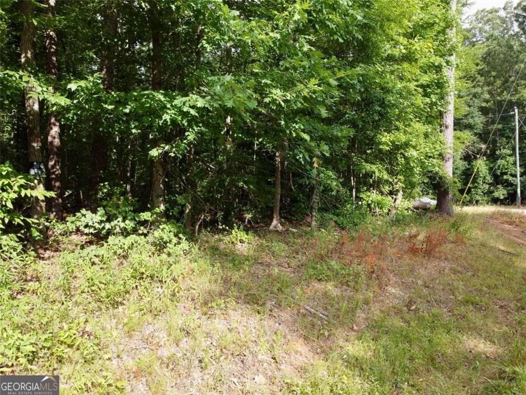 unimproved land for sale at 0 Parker Road, Covington, GA 30014 — photo 7