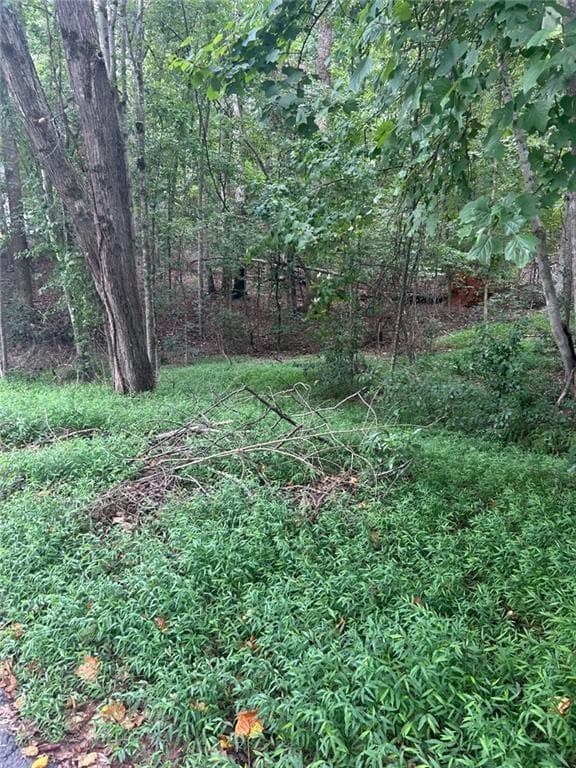 single family residence for sale at 0 Rue Cezzan, Lavonia, GA 30553 — photo 4
