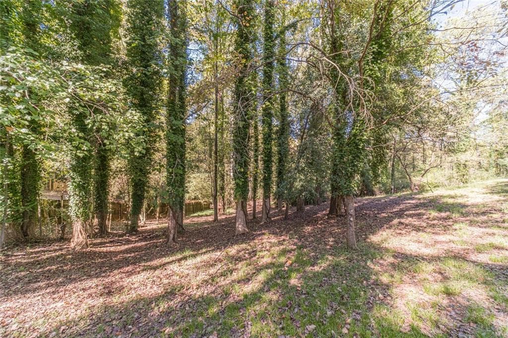 unimproved land for sale at 3319 Little Circle, Gainesville, GA 30506 — photo 3