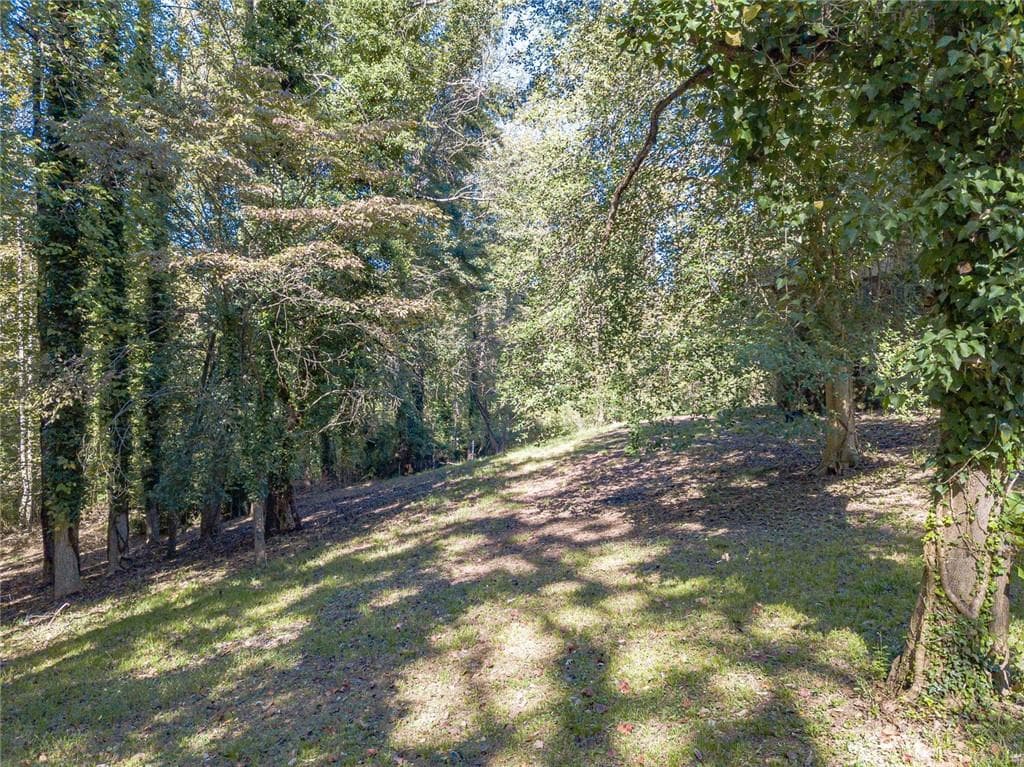 unimproved land for sale at 3319 Little Circle, Gainesville, GA 30506 — photo 6