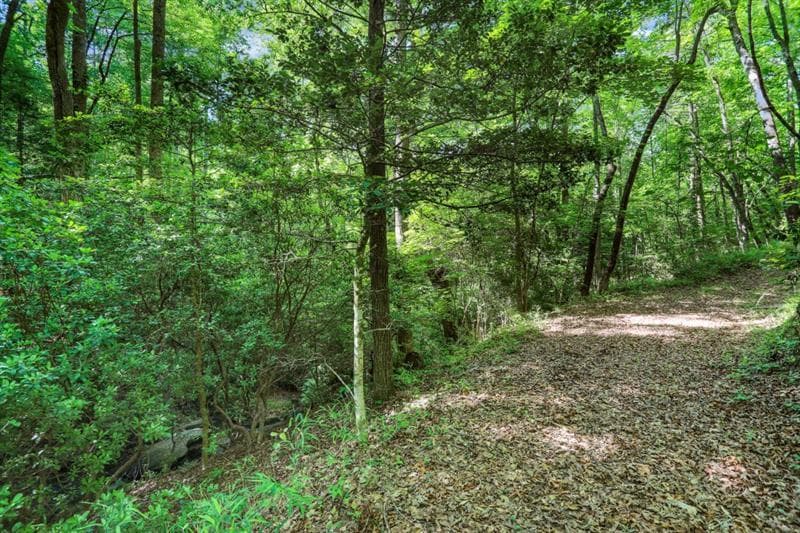 quadruplex for sale at 101 Yellow Bluff Road, Dahlonega, GA 30533 — photo 8