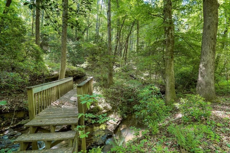 quadruplex for sale at 101 Yellow Bluff Road, Dahlonega, GA 30533 — photo 10