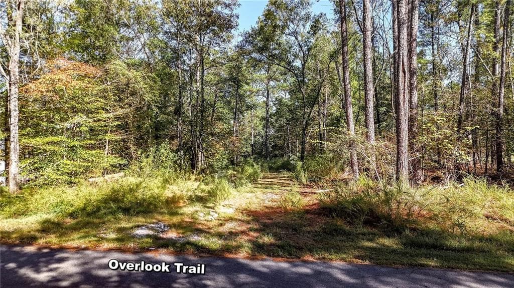 unimproved land for sale at 1135 Overlook Trail, Acworth, GA 30101 — photo 8
