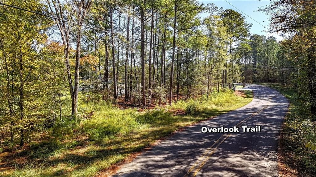 unimproved land for sale at 1135 Overlook Trail, Acworth, GA 30101 — photo 9