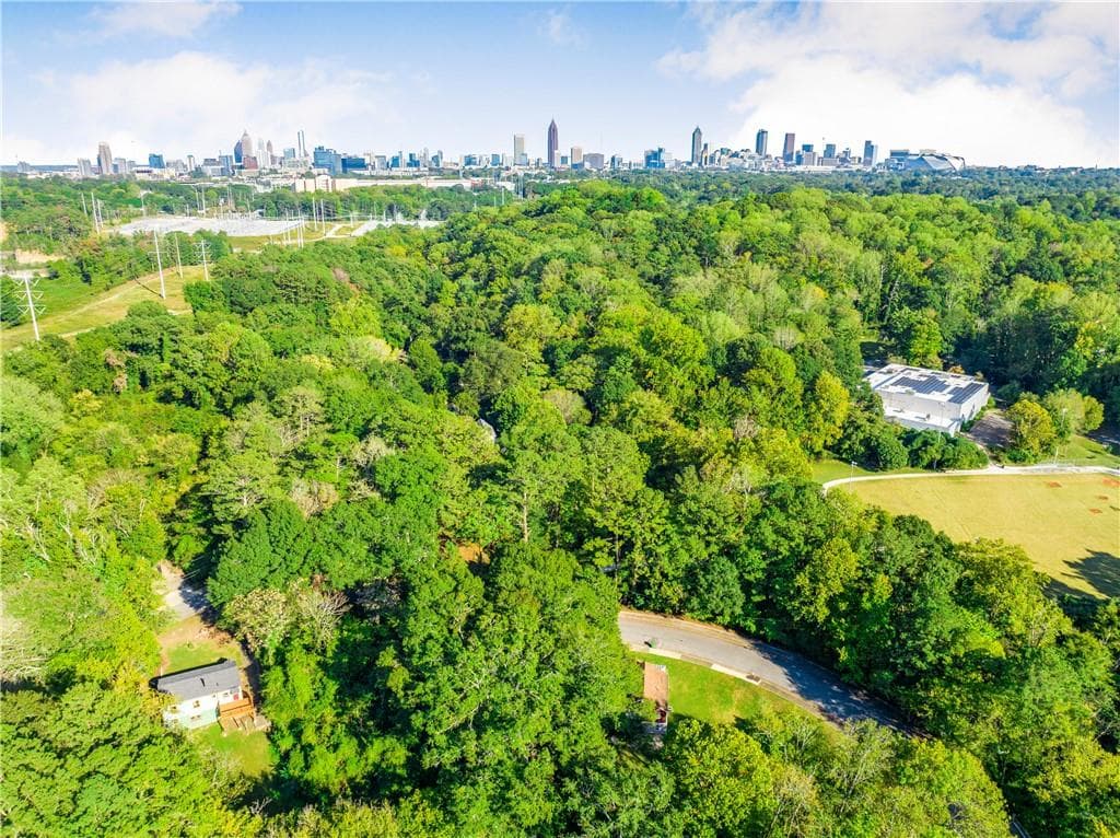 unimproved land for sale at 790 Hortense Way, Atlanta, GA 30318 — photo 8