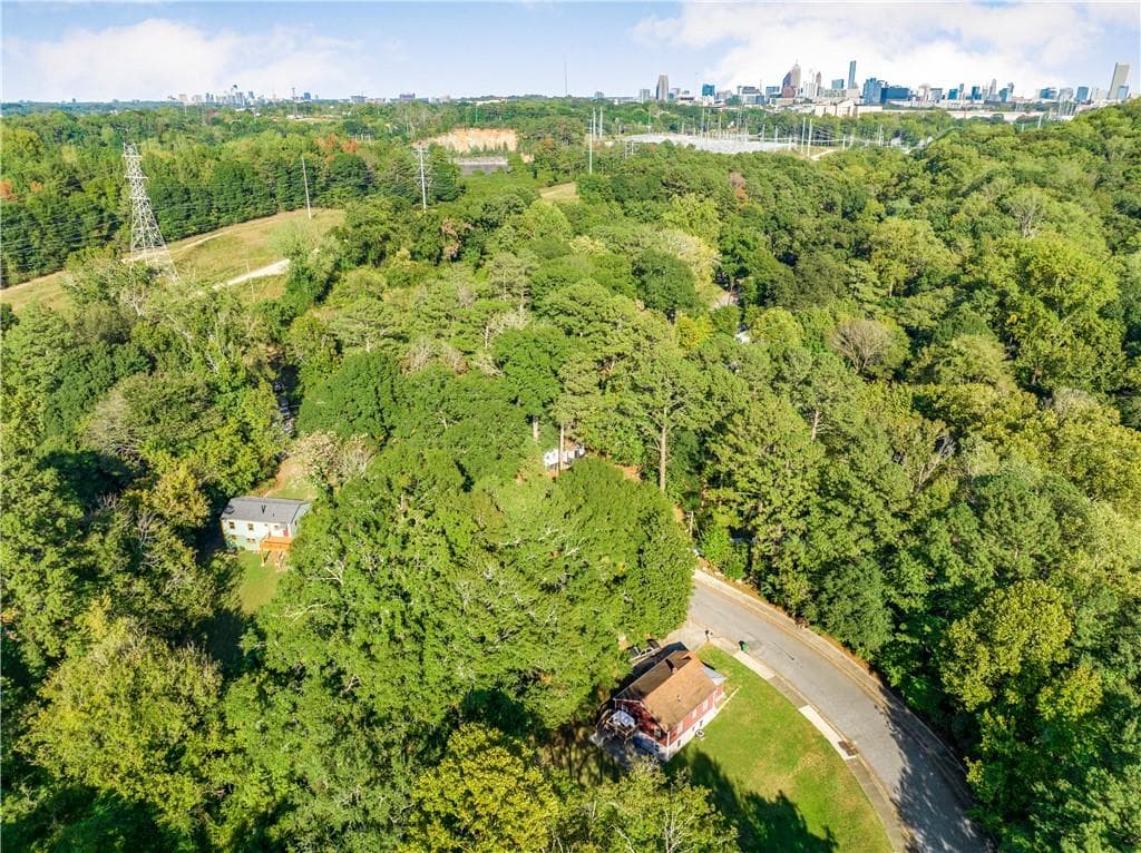 unimproved land for sale at 790 Hortense Way, Atlanta, GA 30318 — photo 10