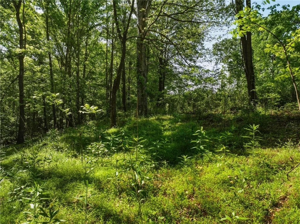 unimproved land for sale at Lot 4 Summit Drive, Dahlonega, GA 30533 — photo 5