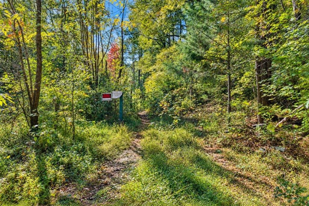 unimproved land for sale at 0 Wax Road, Silver Creek, GA 30161 — photo 2