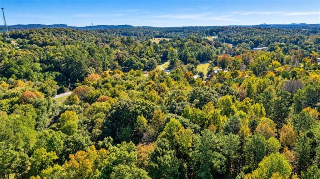 unimproved land for sale at 0 Wax Road, Silver Creek, GA 30161 — photo 4