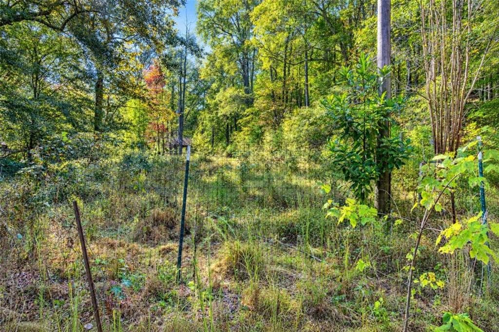 unimproved land for sale at 0 Wax Road, Silver Creek, GA 30161 — photo 5