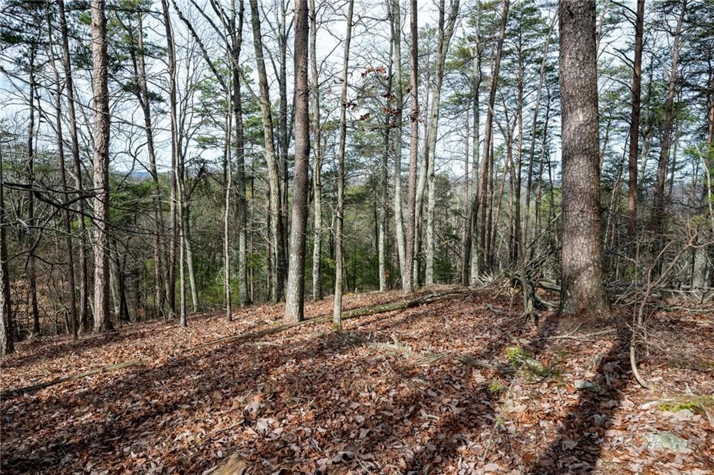 single family residence for sale at 34 Waterside Drive, Cartersville, GA 30121 — photo 7