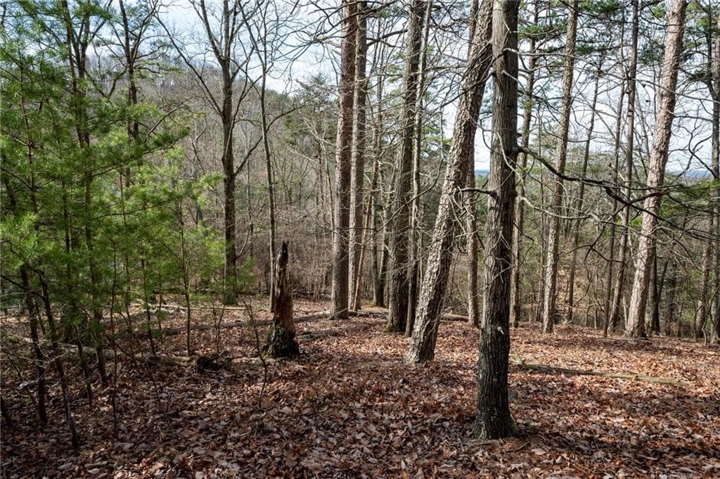 single family residence for sale at 34 Waterside Drive, Cartersville, GA 30121 — photo 8